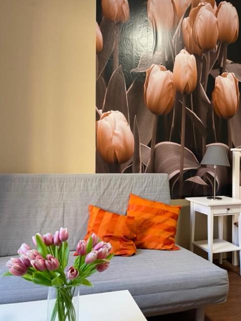 Apartman Galerie 德辛 外观 照片