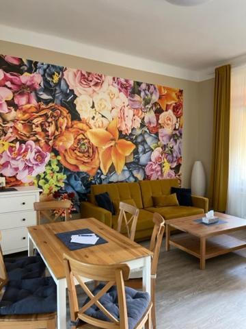 Apartman Galerie 德辛 外观 照片