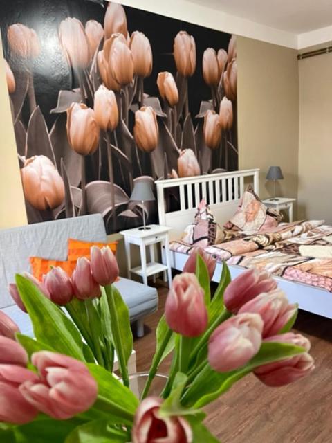 Apartman Galerie 德辛 外观 照片