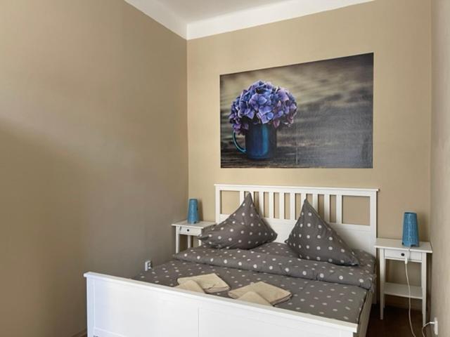 Apartman Galerie 德辛 外观 照片